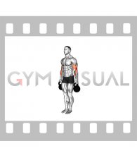 Kettlebell Standing Hammer Curl (male)