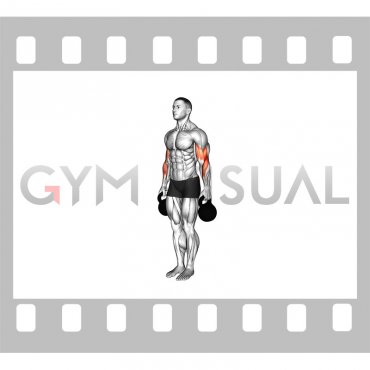 Kettlebell Standing Hammer Curl (male)