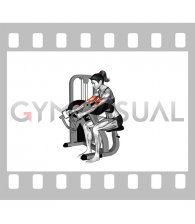 Lever Hammer Grip Preacher Curl (female)