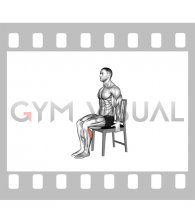 Seated Single Leg Calf Raise on a Chair (male)