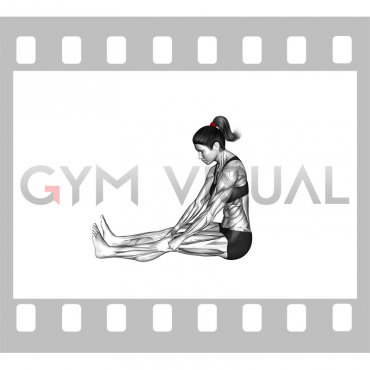Seated Patella Mobilization (female)