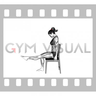 Sciatic Nerve Glide Floss (female)