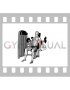 Lever Alternate Biceps Curl