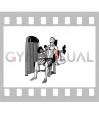 Lever Biceps Curl