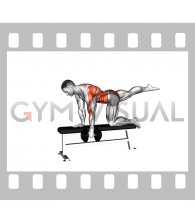 Dumbbell Single Arm Row (Bird Dog Stance on bench) (male)