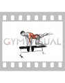 Dumbbell Single Arm Row (Bird Dog Stance on bench) (male)