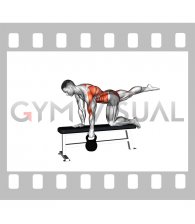 Kettlebell Single Arm Row (Bird Dog Stance on bench) (male)