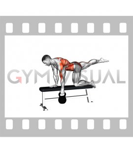 Kettlebell Single Arm Row (Bird Dog Stance on bench) (male)