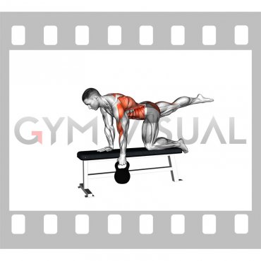 Kettlebell Single Arm Row (Bird Dog Stance on bench) (male)