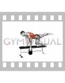 Kettlebell Single Arm Row (Bird Dog Stance on bench) (male)