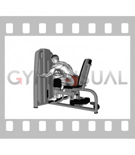Lever Seated Leaning Forward Hip Abduction