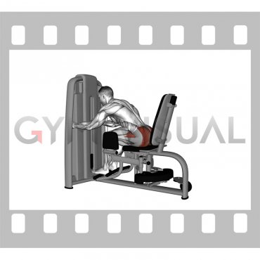 Lever Seated Leaning Forward Hip Abduction