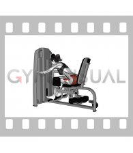 Lever Seated Leaning Forward Hip Abduction (female)