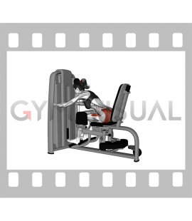 Lever Seated Leaning Forward Hip Abduction (female)