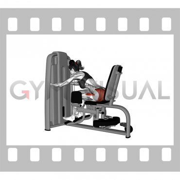 Lever Seated Leaning Forward Hip Abduction (female)