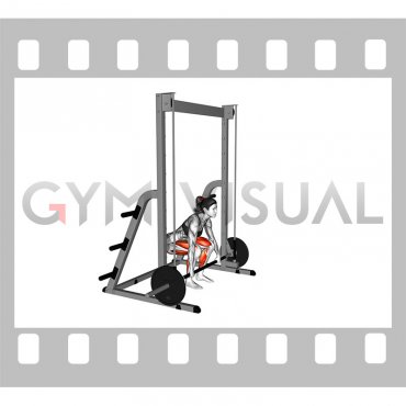 Smith Deadlift (female)
