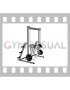 Smith Stiff Legged Deadlift (female)