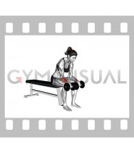 Dumbbell Reverse Wrist Curl (female)