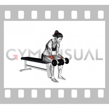Dumbbell Reverse Wrist Curl (female)