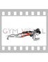 Weighted Front Plank (female)