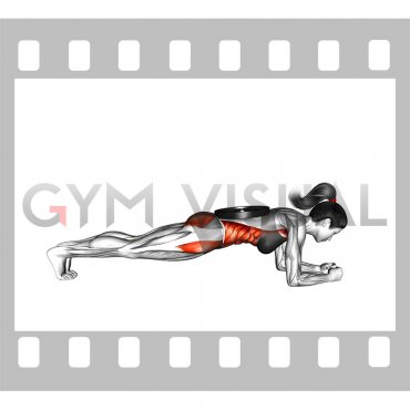 Weighted Front Plank (female)