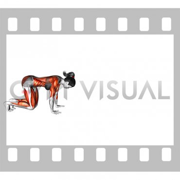 Bear Crawl (low hip) (female)