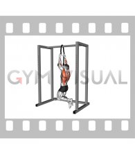 Bodyweight Rope Pull-up (male)