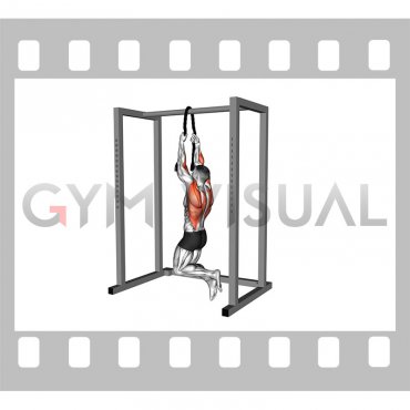 Bodyweight Rope Pull-up (male)