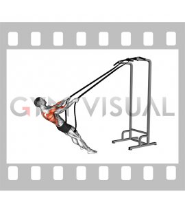 Bodyweight Rope Inverted Row (male)