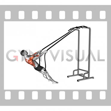 Bodyweight Rope Inverted Row (male)