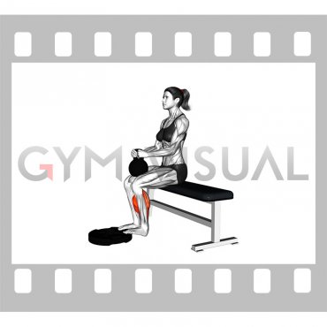 Kettlebell Seated Calf Raise (female)