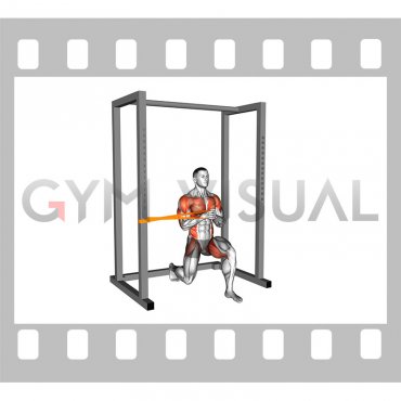 Resistance Band Half Kneeling Horizontal Pallof Press