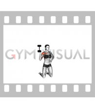 Dumbbell Kneeling One Arm Bottoms-up Press (female)