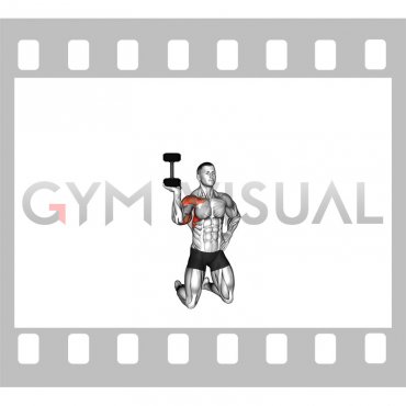 Dumbbell Kneeling One Arm Bottoms-up Press (male)