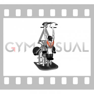 Lever Seated Scapular Retraction (plate loaded) (female)