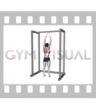 Resistance Band Standing Scapular Retraction (female)