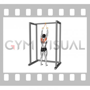 Resistance Band Standing Scapular Retraction (female)