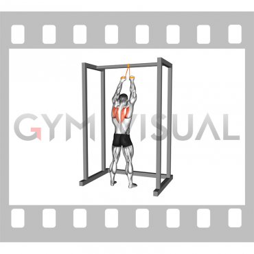 Resistance Band Standing Scapular Retraction (male)