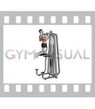 Lever Gravitron Assisted Wide Pull-up (male)