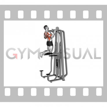 Lever Gravitron Assisted Wide Pull-up (male)