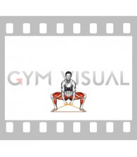Resistance Band Sumo Deadlift (female)