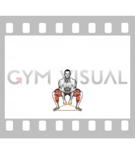 Resistance Band Sumo Deadlift (male)