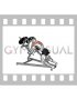 Lever Incline Chest Supported Reverse Delt Fly (plate loaded)