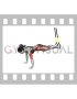 Suspender Push-up with Knee Tuck (female)