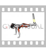 Suspender Push-up with Knee Tuck (female)