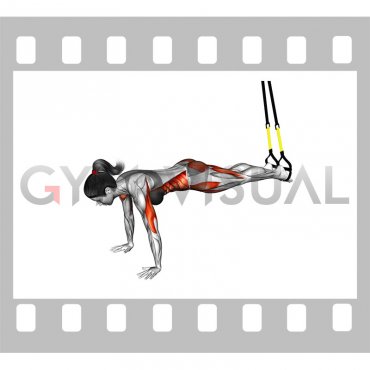 Suspender Push-up with Knee Tuck (female)