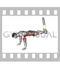 Suspender Push-up with Knee Tuck (male)