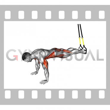Suspender Push-up with Knee Tuck (male)