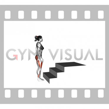 Step-up (1st and 2nd stairs steps) (female)
