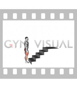 Climbing Stairs (male)